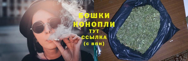 мдпв Верхний Тагил