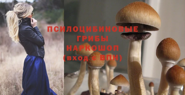 мдпв Верхний Тагил