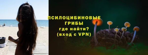 мдпв Верхний Тагил