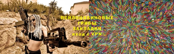 мдпв Верхний Тагил