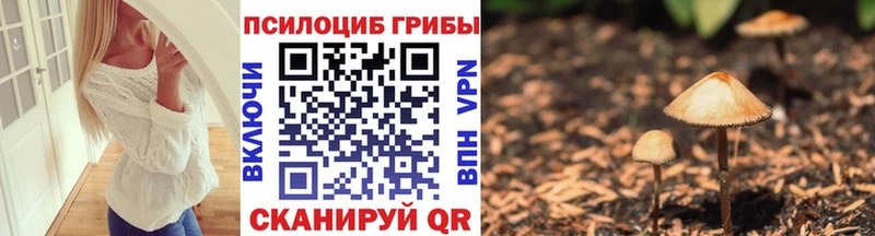 Галлюциногенные грибы GOLDEN TEACHER  Первомайск 